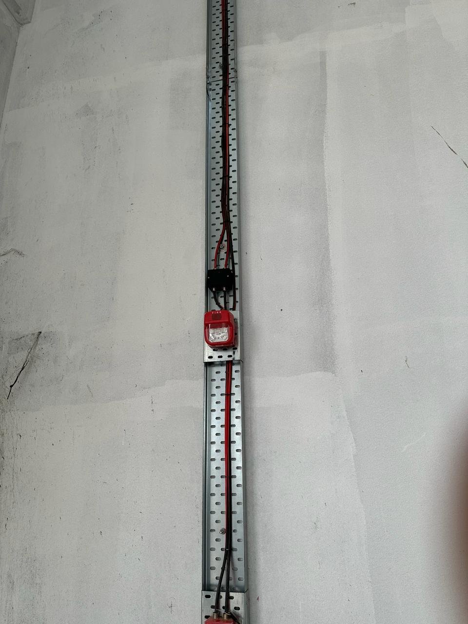 Uploaded Image